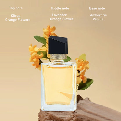 8-delars Mini Parfympresentlåda för Kvinnor - Hållbara Woody Floral Doft med Pheromoner för Män - Kompakt och Bärbar Parfym