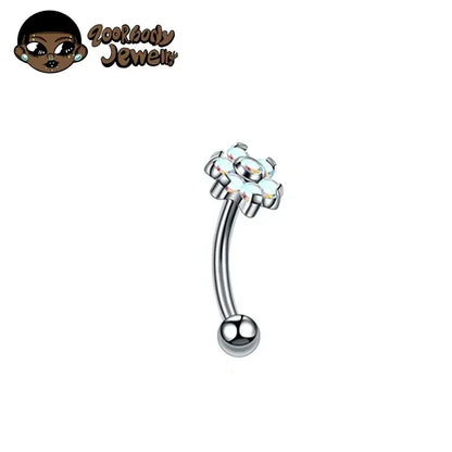 F136 Titanium Classic Eyebrow Piercing Inlaid Opal Zircon 16G Internal Thread Banana Curved Lip Navel Piercing Piercing Jewelry