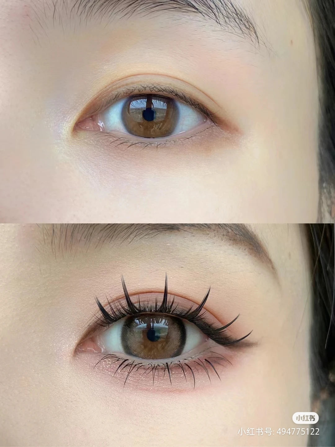 1 Låda med 160 Buntar Naturliga 3D Ryska Ögonfransar - Individuella Mängd Ögonfransförlängningar för Professionellt Makeup med MS Fransar