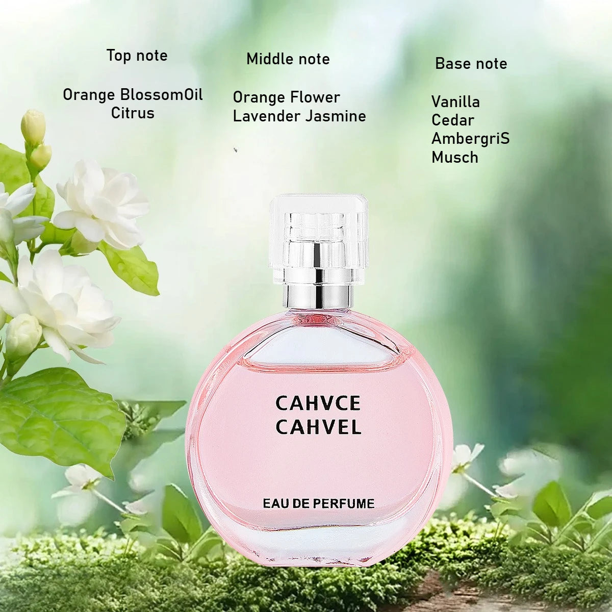 8-delars Mini Parfympresentlåda för Kvinnor - Hållbara Woody Floral Doft med Pheromoner för Män - Kompakt och Bärbar Parfym